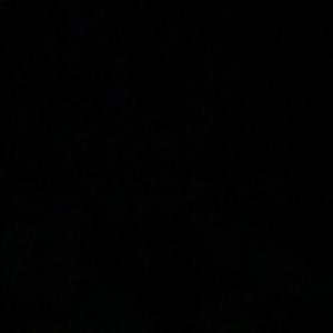 Meet your Posher, Naomi